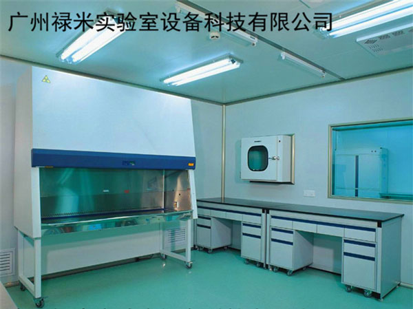 建立GMP實(shí)驗(yàn)室目的是什么？