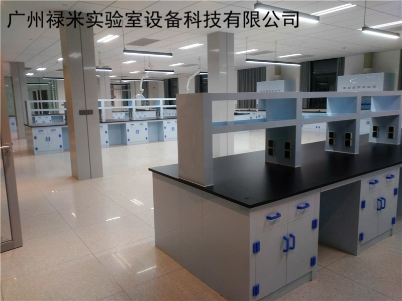 化工廠PP實(shí)驗(yàn)室家具案例
