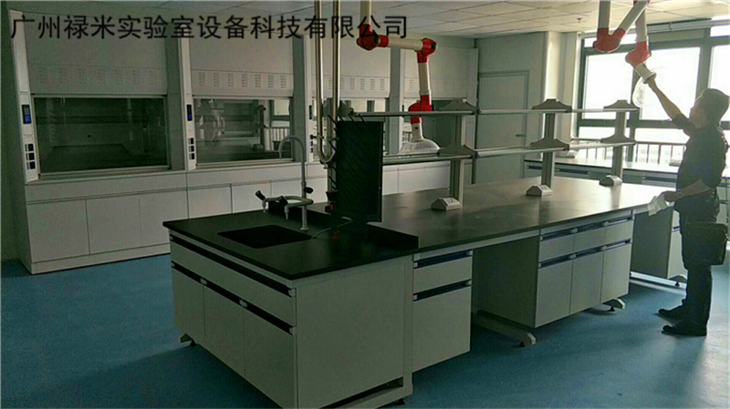 學(xué)?；瘜W(xué)實(shí)驗(yàn)室的規(guī)劃設(shè)計(jì)